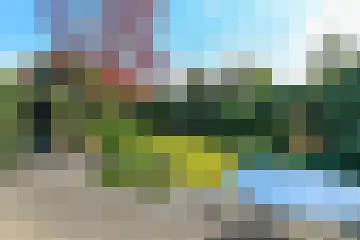 Bosweg 52 Velp thumbnail 24