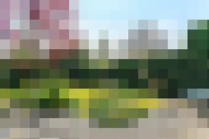 Bosweg 52 Velp thumbnail 25