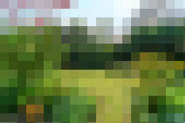 Bosweg 52 Velp thumbnail 27