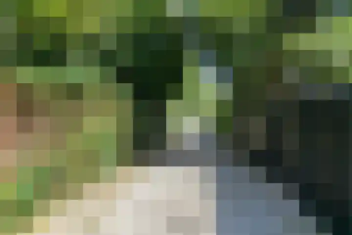 Bosweg 52 Velp thumbnail 30