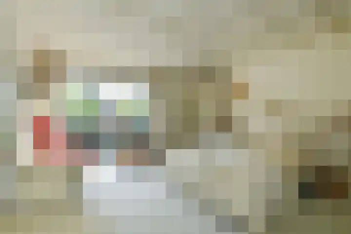 Bosweg 52 Velp thumbnail 4