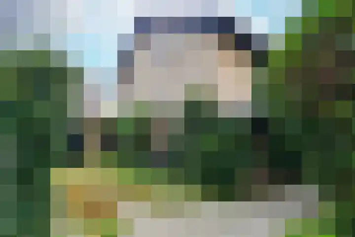 Bosweg 52 Velp thumbnail 5