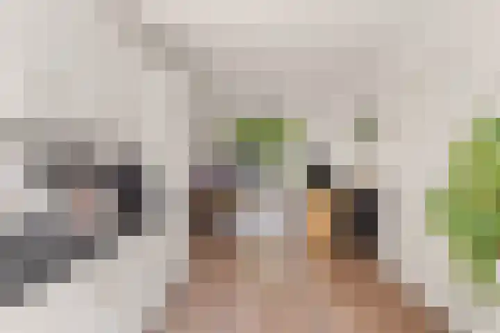 Bosweg 53 Gouda thumbnail 11