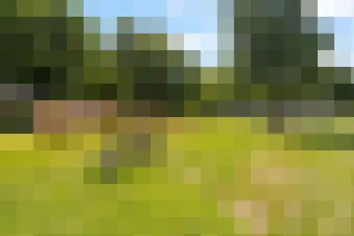 Bosweg 53 Gouda thumbnail 25