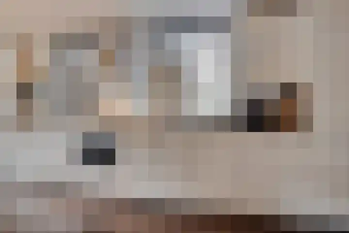 Bosweg 56 Klarenbeek thumbnail 12