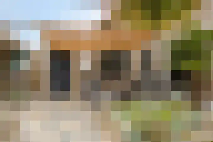 Bosweg 56 Klarenbeek thumbnail 15
