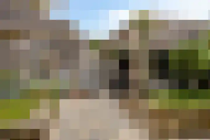 Bosweg 56 Klarenbeek thumbnail 16