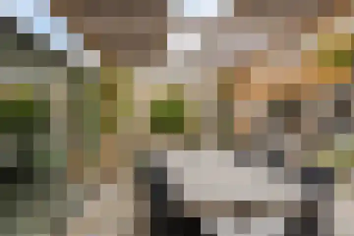 Bosweg 56 Klarenbeek thumbnail 17