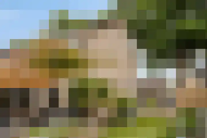Bosweg 56 Klarenbeek thumbnail 20