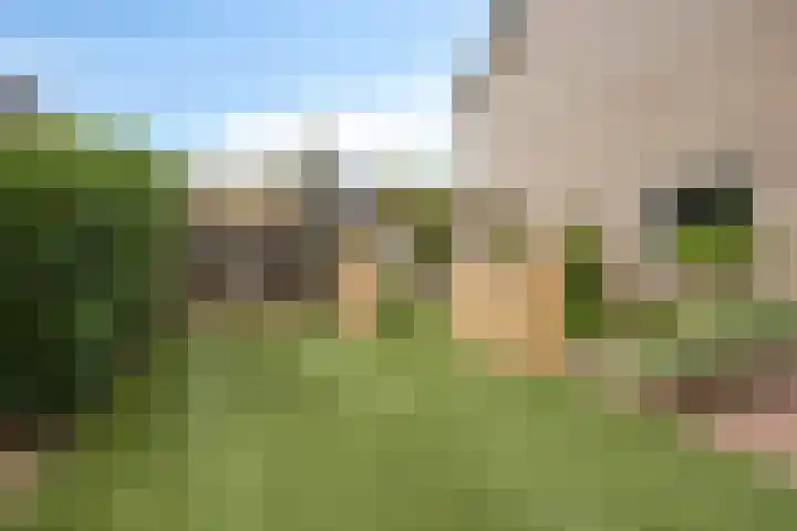 Bosweg 56 Klarenbeek thumbnail 36