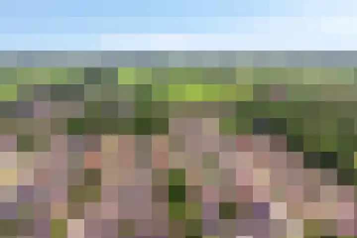 Bosweg 56 Klarenbeek thumbnail 37