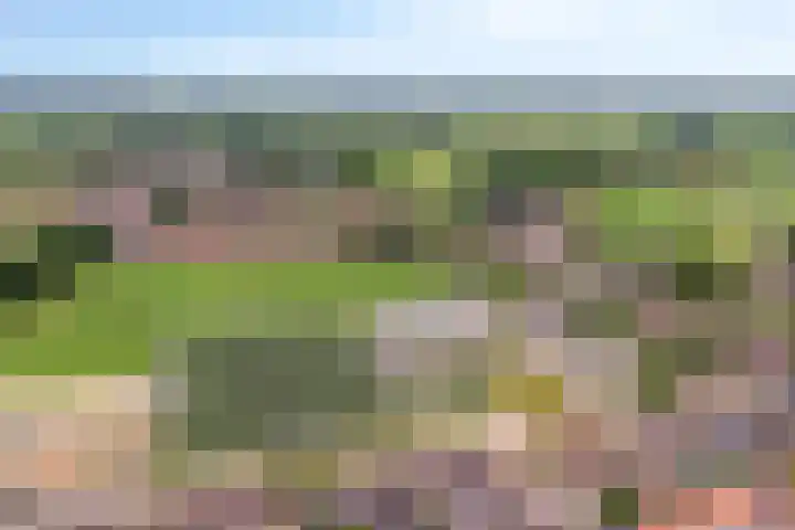 Bosweg 56 Klarenbeek thumbnail 38