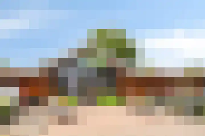Bosweg 56 Klarenbeek thumbnail 39