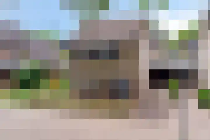Bosweg 56 Klarenbeek thumbnail 4