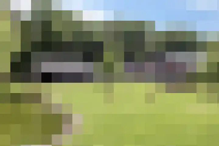 Bosweg 56 Klarenbeek thumbnail 40