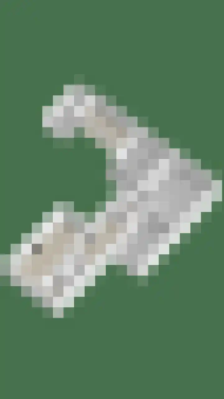 Bosweg 56 Klarenbeek thumbnail 46