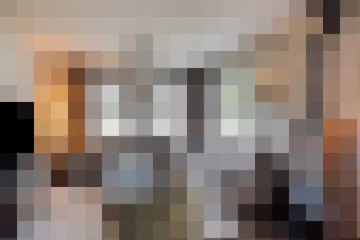 Bosweg 56 Klarenbeek thumbnail 7