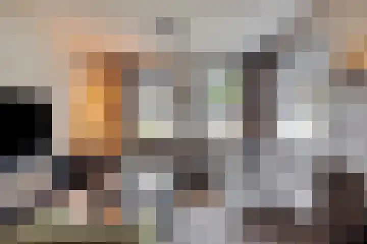 Bosweg 56 Klarenbeek thumbnail 8