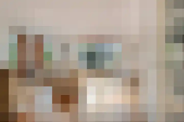 Bosweg 59 Zoutelande thumbnail 10