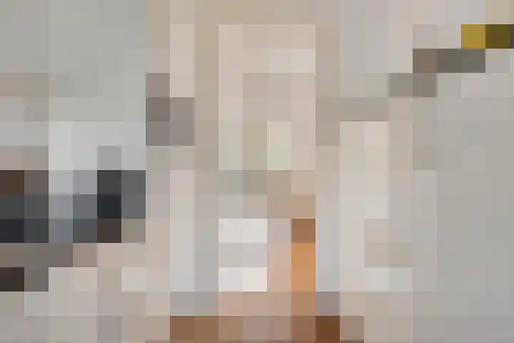 Bosweg 59 Zoutelande thumbnail 16