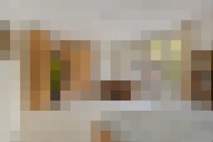 Bosweg 59 Zoutelande thumbnail 18