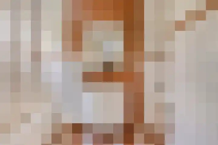Bosweg 59 Zoutelande thumbnail 19
