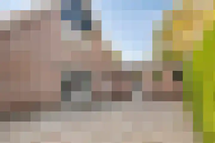 Bosweg 59 Zoutelande thumbnail 21