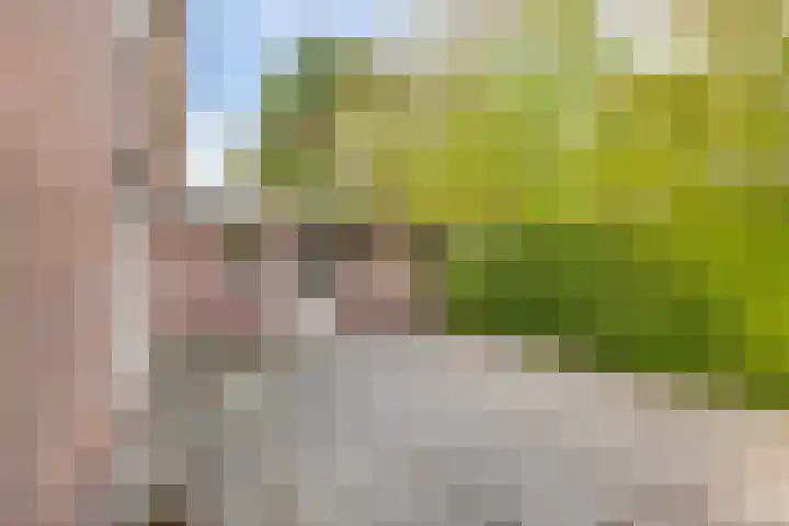 Bosweg 59 Zoutelande thumbnail 22