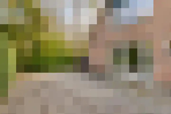 Bosweg 59 Zoutelande thumbnail 23