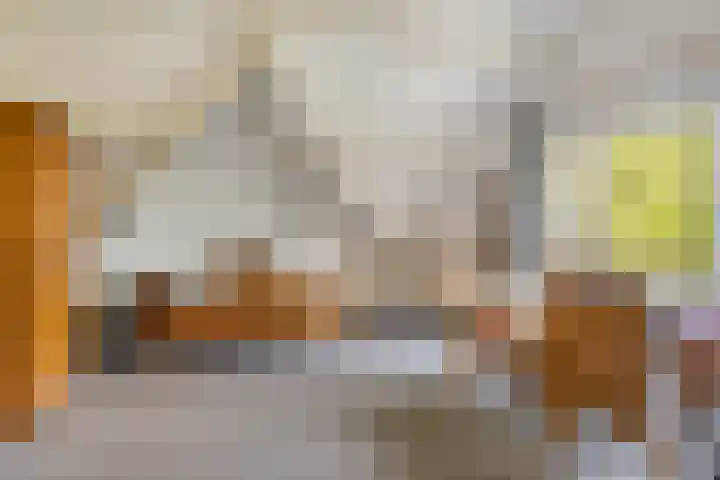 Bosweg 59 Zoutelande thumbnail 26