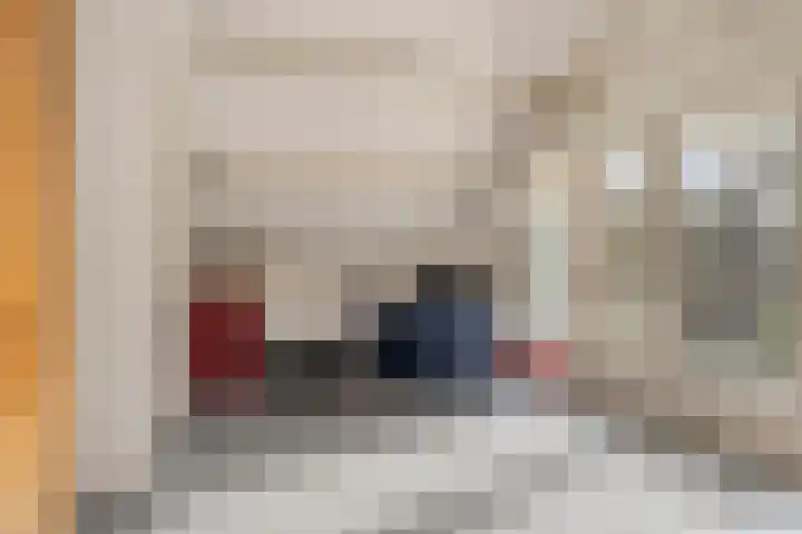 Bosweg 59 Zoutelande thumbnail 31