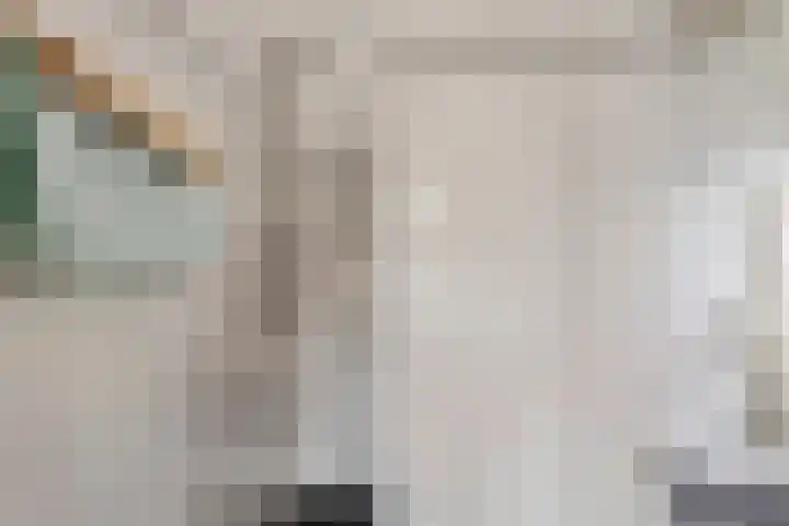 Bosweg 59 Zoutelande thumbnail 32