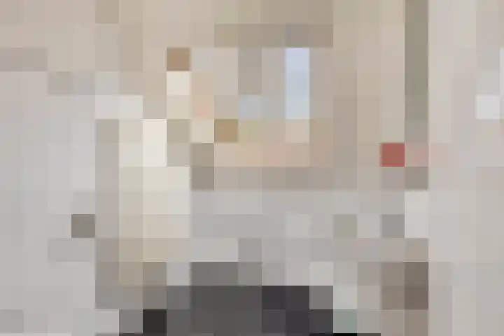 Bosweg 59 Zoutelande thumbnail 33