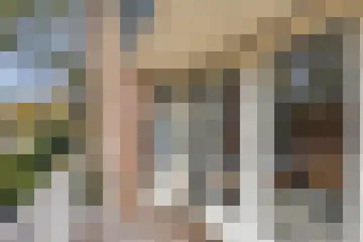 Bosweg 59 Zoutelande thumbnail 34