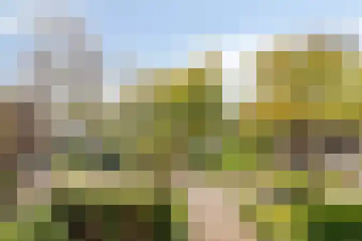 Bosweg 59 Zoutelande thumbnail 35