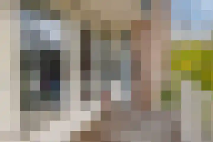 Bosweg 59 Zoutelande thumbnail 36