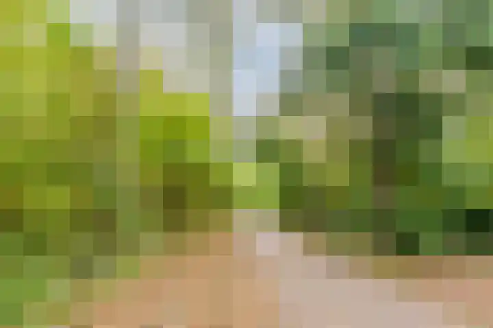 Bosweg 59 Zoutelande thumbnail 37