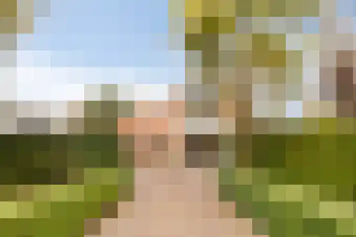 Bosweg 59 Zoutelande thumbnail 38