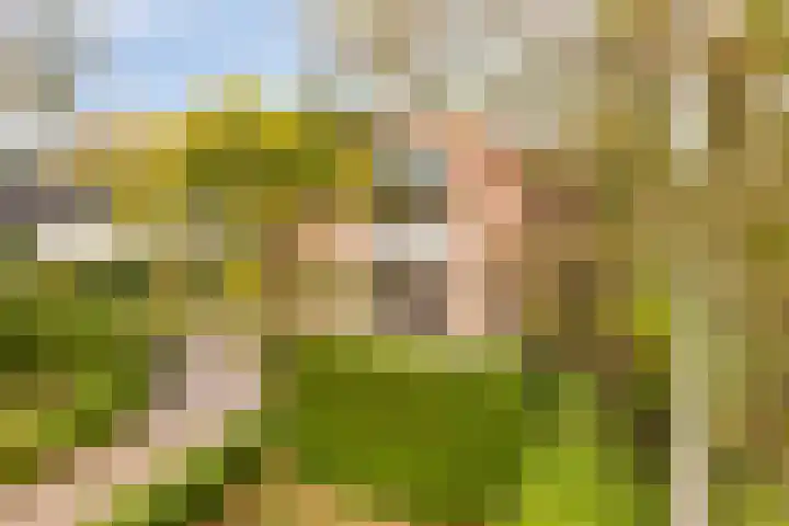 Bosweg 59 Zoutelande thumbnail 39