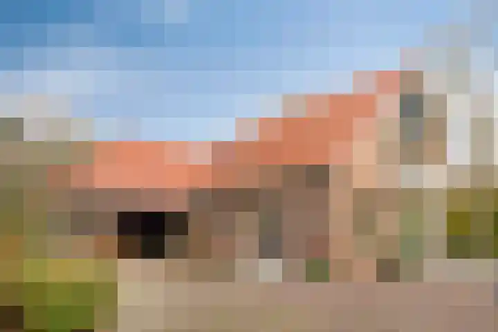 Bosweg 59 Zoutelande thumbnail 4