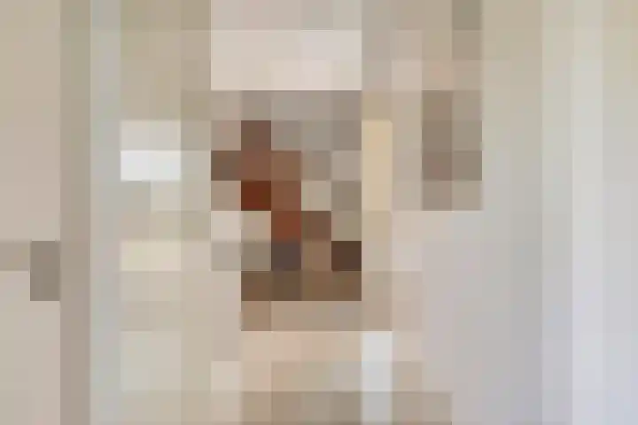 Bosweg 59 Zoutelande thumbnail 7