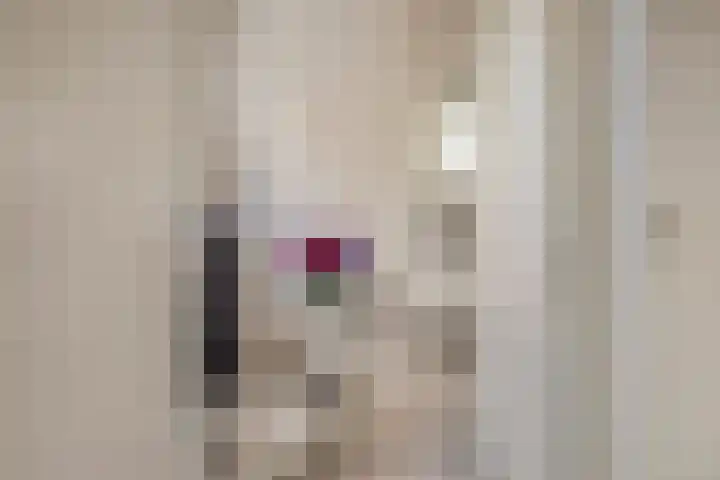 Bosweg 59 Zoutelande thumbnail 9