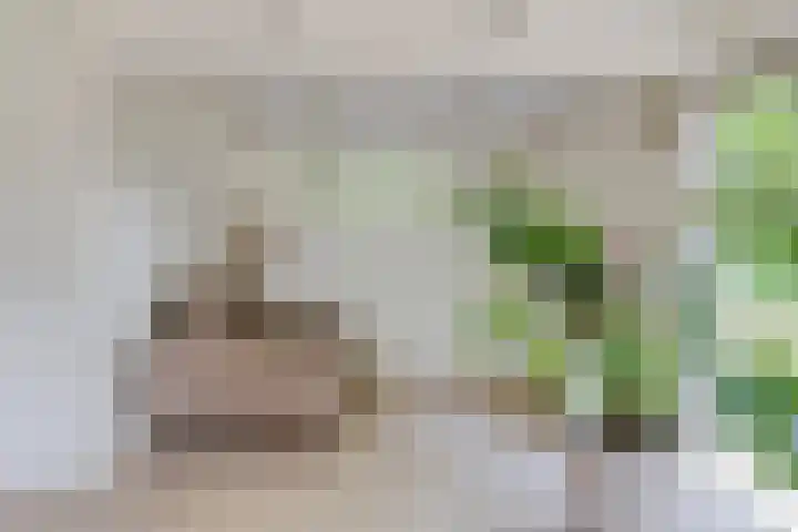 Bosweg 6 a Sellingen thumbnail 14