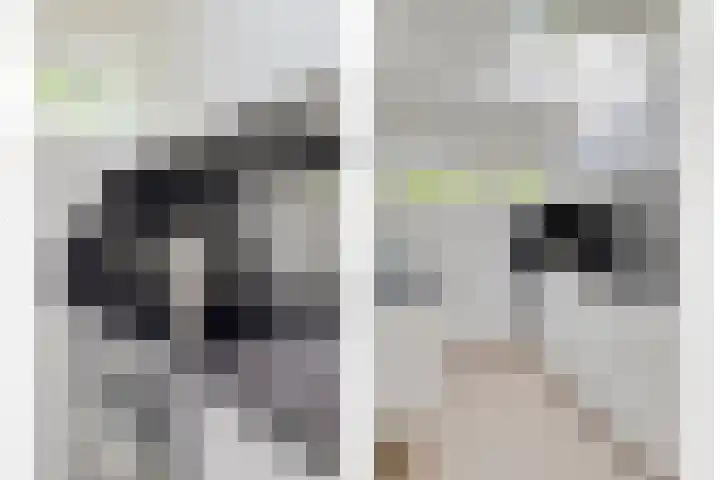 Bosweg 6 a Sellingen thumbnail 18