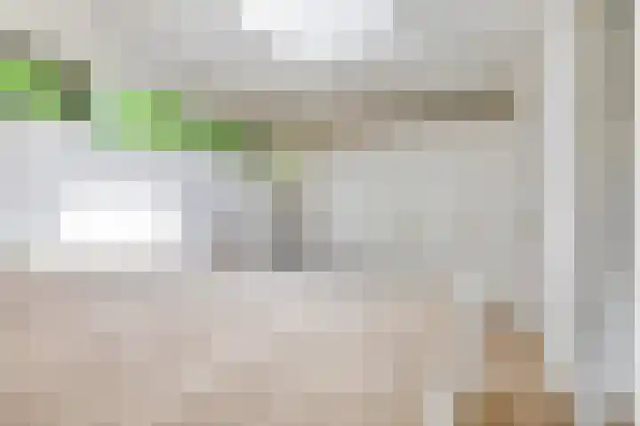 Bosweg 6 a Sellingen thumbnail 23