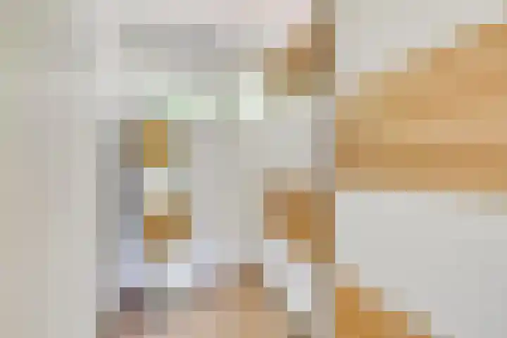 Bosweg 6 a Sellingen thumbnail 26