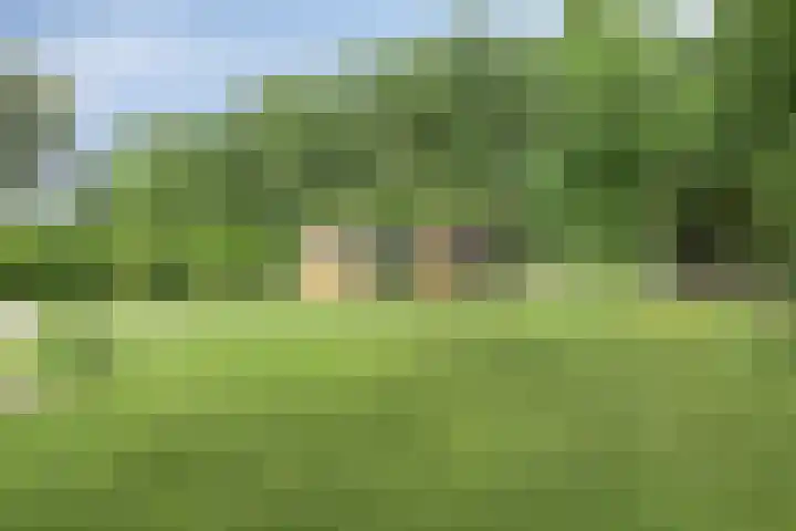 Bosweg 6 a Sellingen thumbnail 28