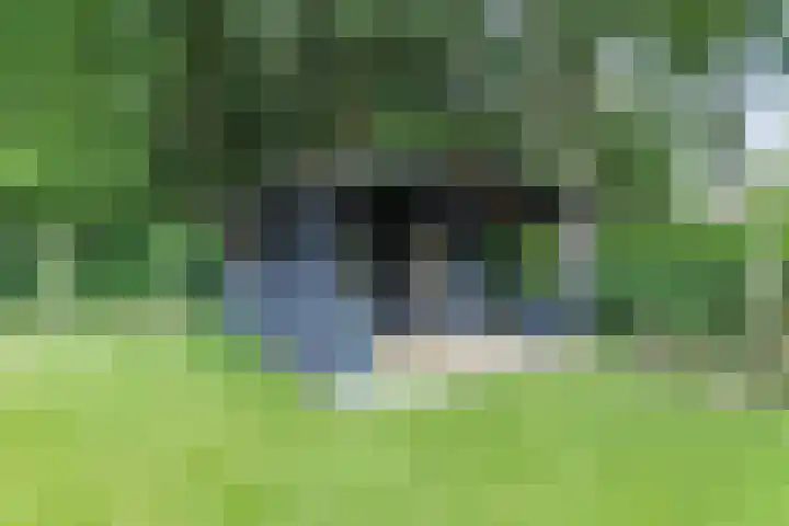 Bosweg 6 a Sellingen thumbnail 29
