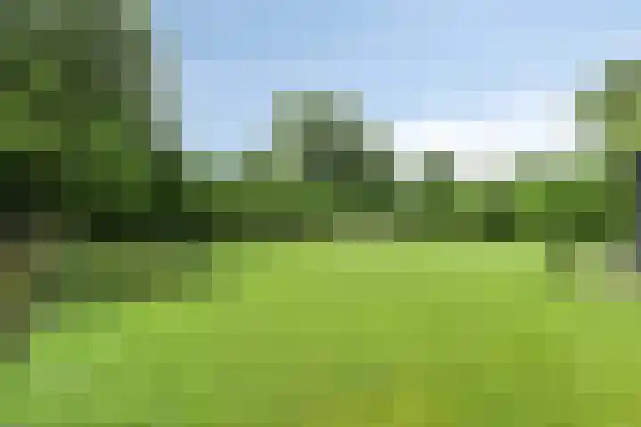 Bosweg 6 a Sellingen thumbnail 30