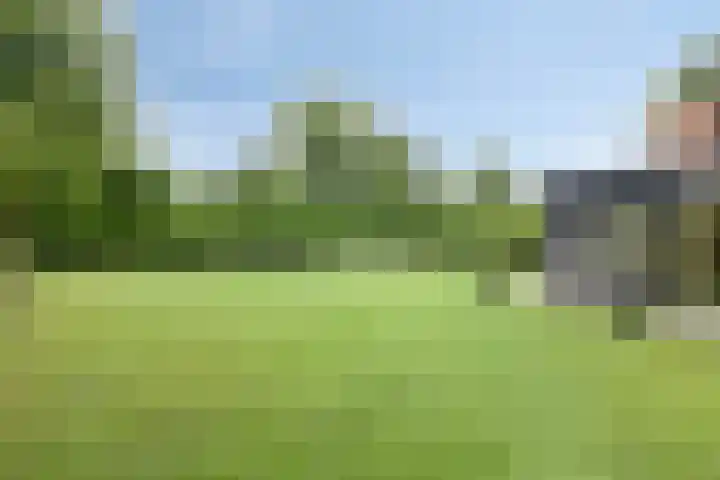 Bosweg 6 a Sellingen thumbnail 31